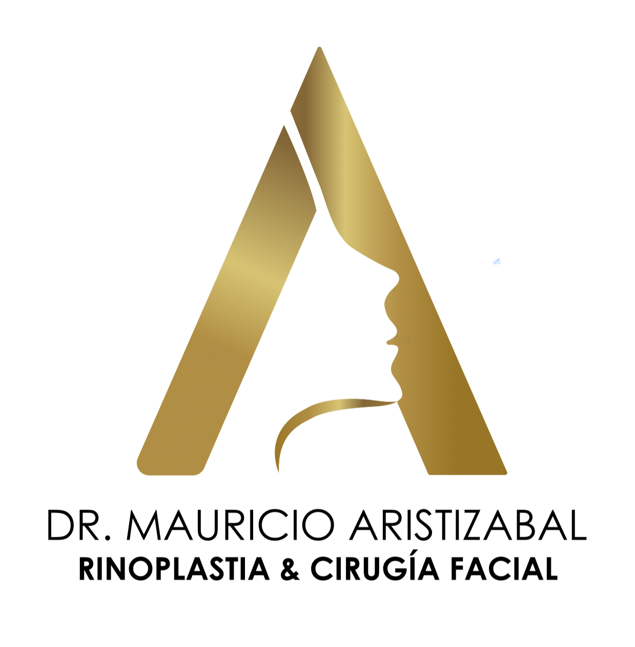 Dr. Mauricio Aristizábal